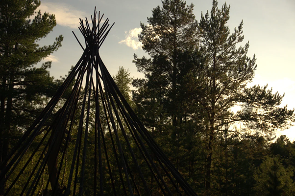 Иллюстрация к новости: Ненецкая экспедиция